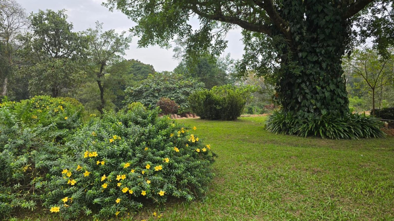 Highland Estate Hotel Sakleshpur Bagian luar foto